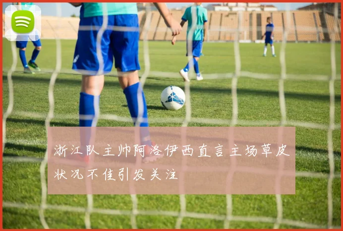 浙江队主帅阿洛伊西直言主场草皮状况不佳引发关注