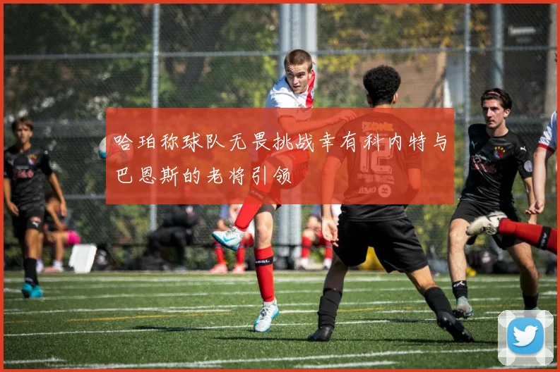 哈珀称球队无畏挑战幸有科内特与巴恩斯的老将引领